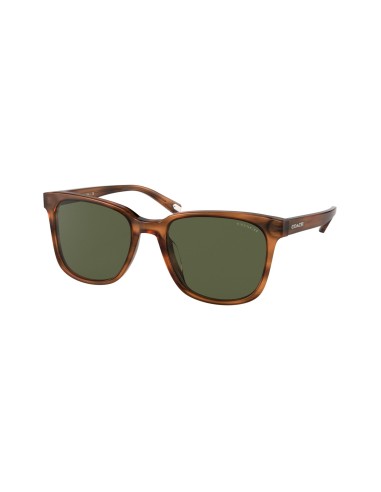 Coach C2095 8313U Sunglasses shop