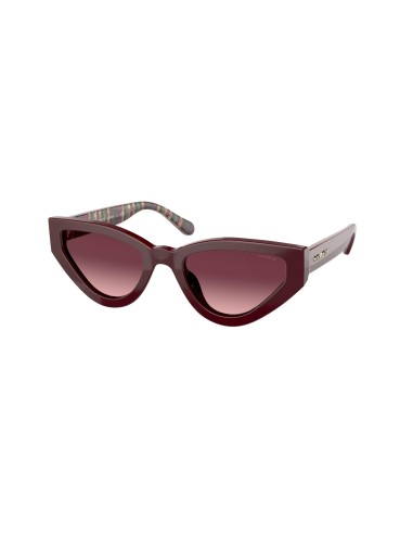 Coach C3450 8319 Sunglasses ou a consommer sur place